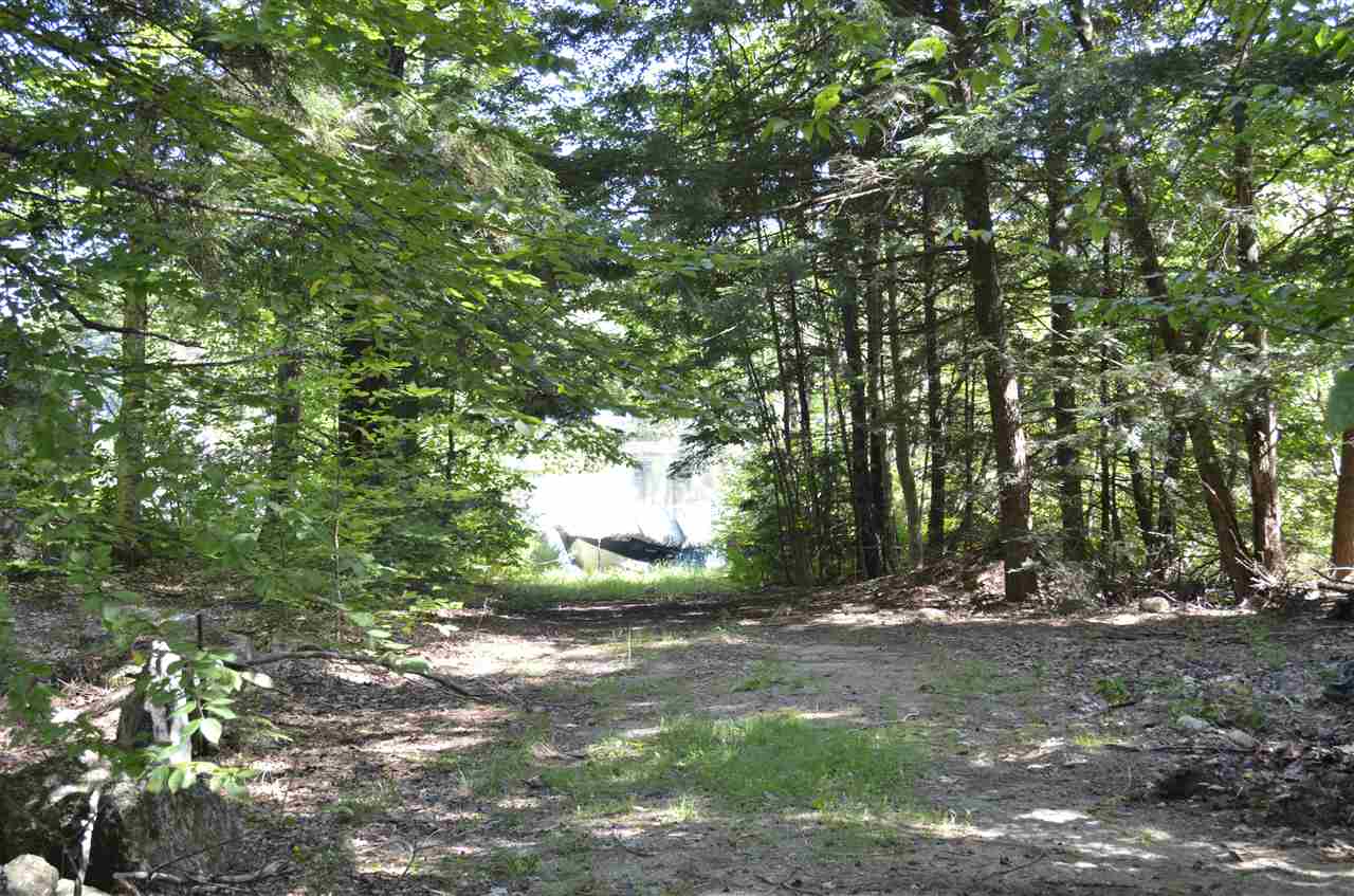 2 Beech Way Washington, NH 03280 - Photo 7 of 26