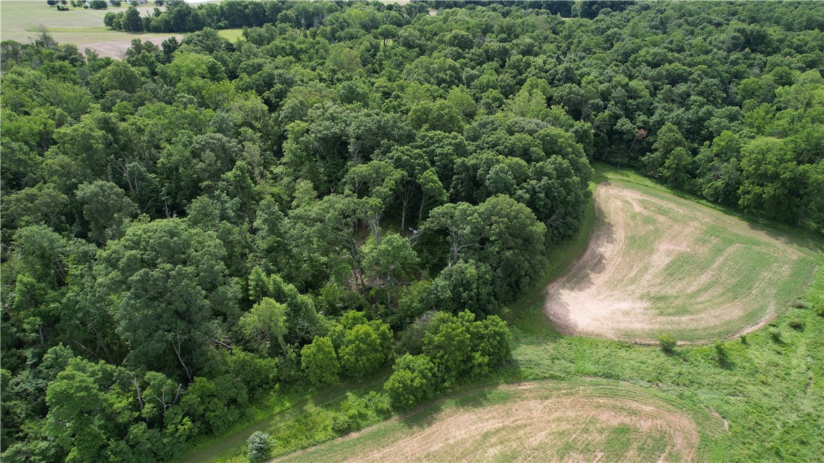 21000 East 500th Road Paris, IL 61944 - Photo 23 of 34