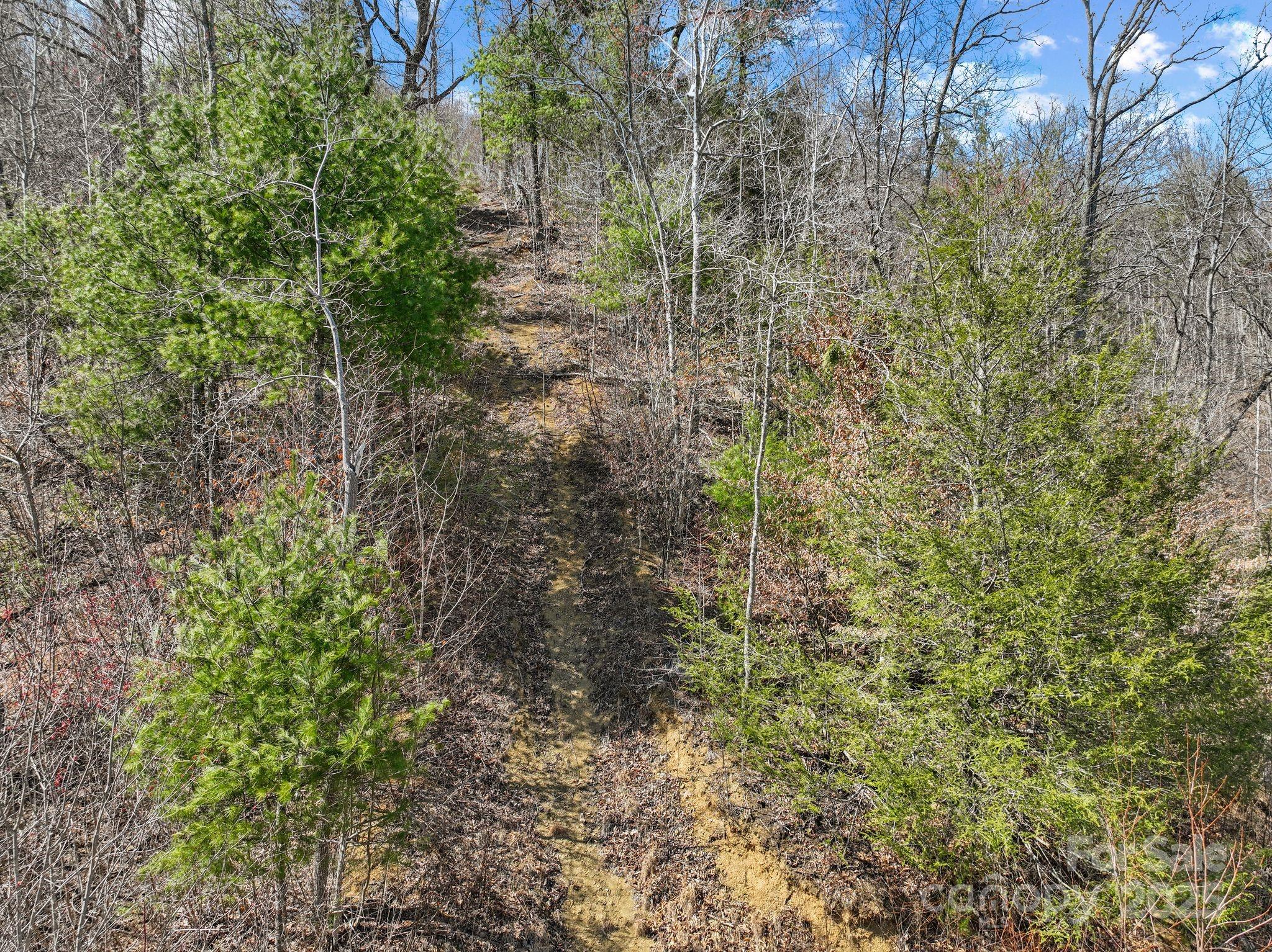 902 Spillcorn Road Marshall, NC 28753 - Photo 15 of 18