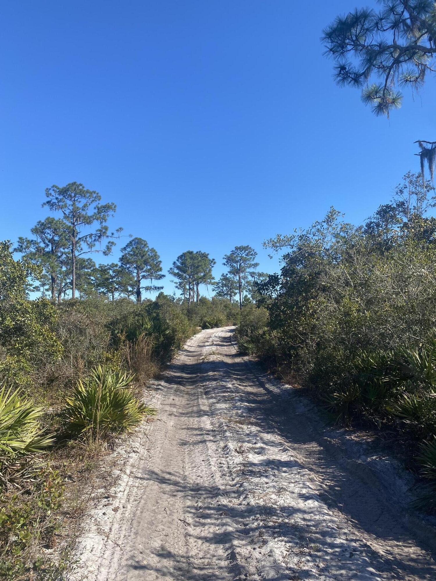 0 River Ranch Frostproof, FL 33843 - Photo 3 of 10 IMG_2262