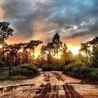 0 River Ranch Frostproof, FL 33843 - Photo 10 of 10 river ranch1