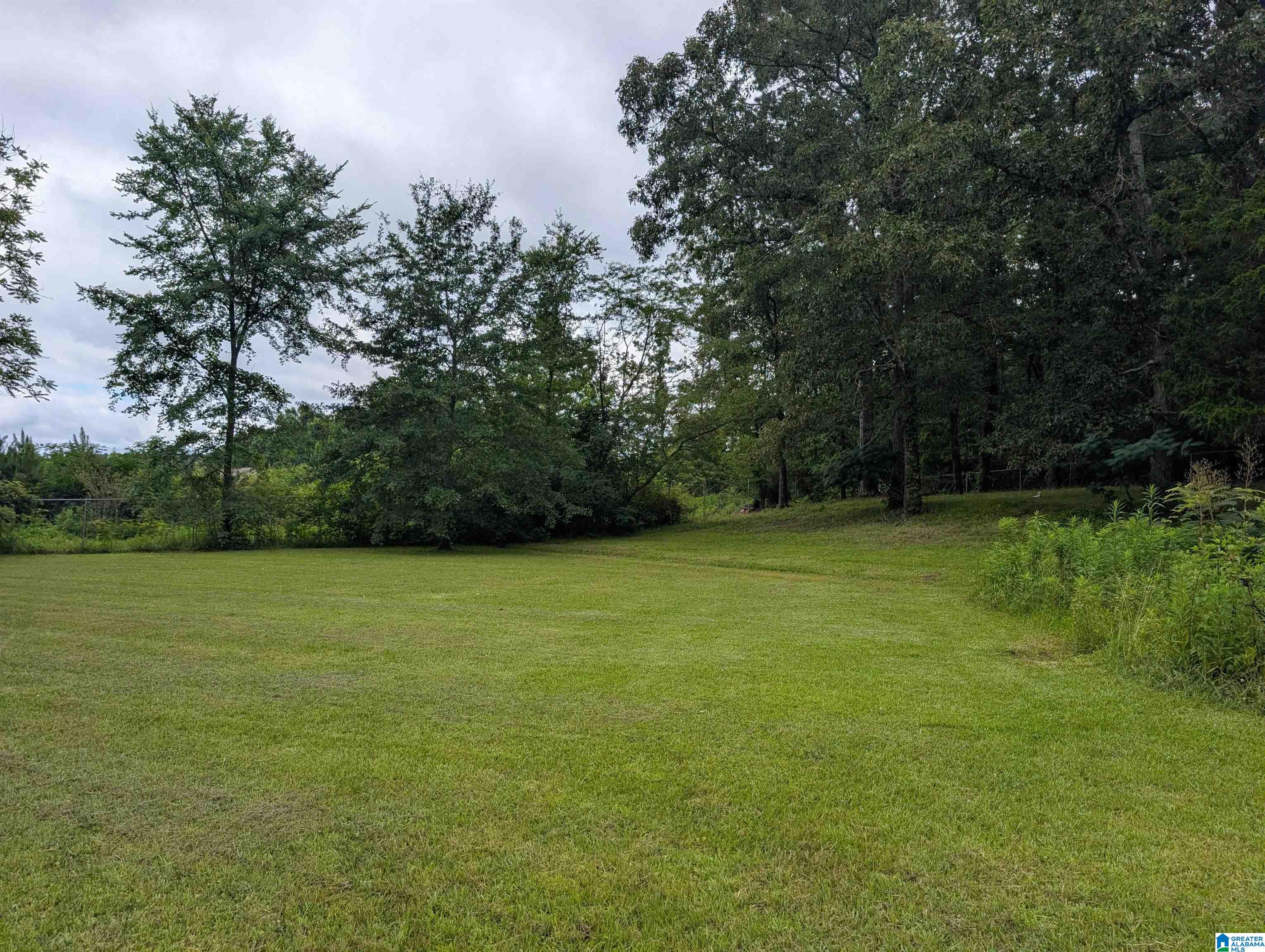 323 Taylors Chapel Road Anniston, AL 36203 - Photo 34 of 43