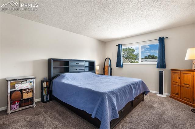 4721 Barnes Road Colorado Springs, CO 80917 - Photo 19 of 30
