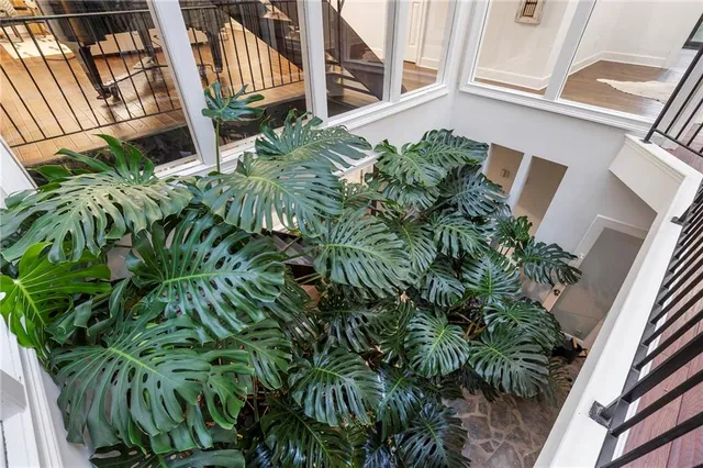 a close up of a plant with a plant