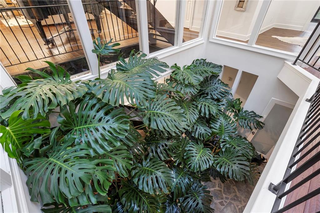 11260 Houze Road Roswell, GA 30076 - Photo 13 of 60 a plant that is in front of a house