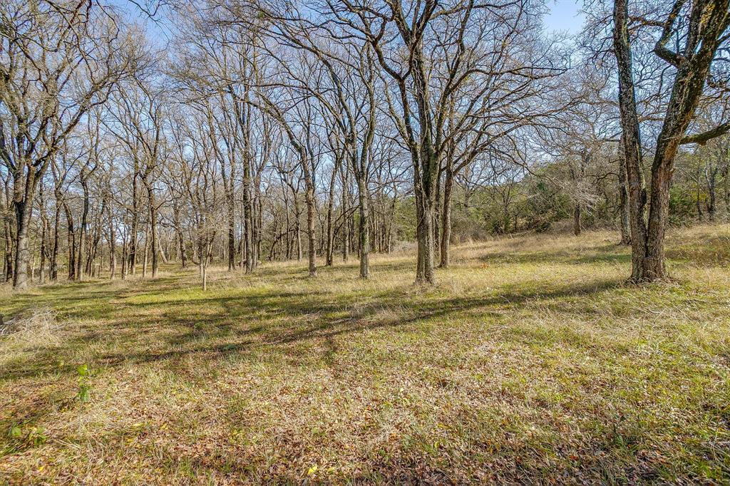 6267 Ben Day Murrin Road Fort Worth, TX 76126 - Photo 11 of 24 a view of dirt yard with large trees
