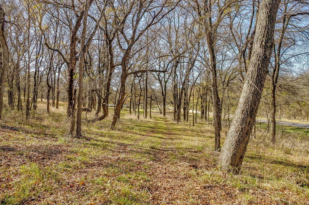 6267 Ben Day Murrin Road Fort Worth, TX 76126 - Photo 13 of 24 a view of yard with trees
