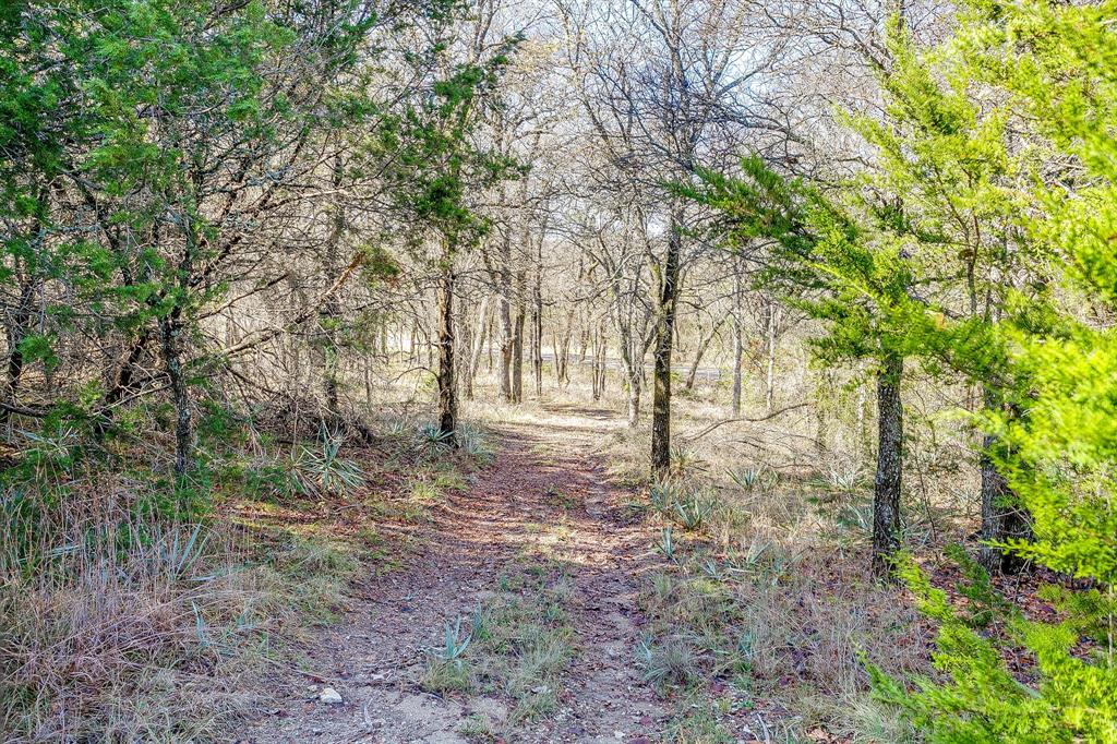 6267 Ben Day Murrin Road Fort Worth, TX 76126 - Photo 15 of 24 a view of yard with trees