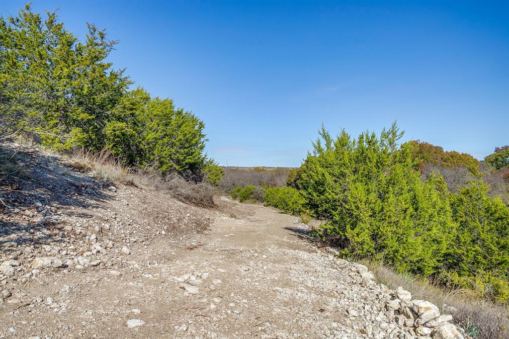 6267 Ben Day Murrin Road Fort Worth, TX 76126 - Photo 18 of 24 a view of a dry yard with plants and a large tree