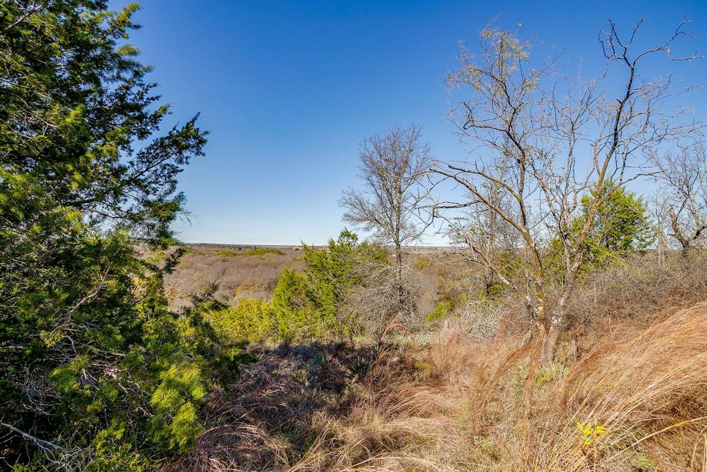 6267 Ben Day Murrin Road Fort Worth, TX 76126 - Photo 24 of 24 a view of a yard with plants and trees