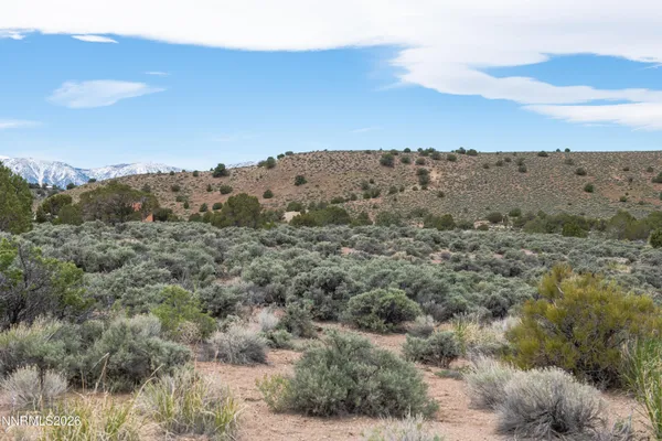 $525,000 | 1648 Finch Drive, Gardnerville, NV 89410