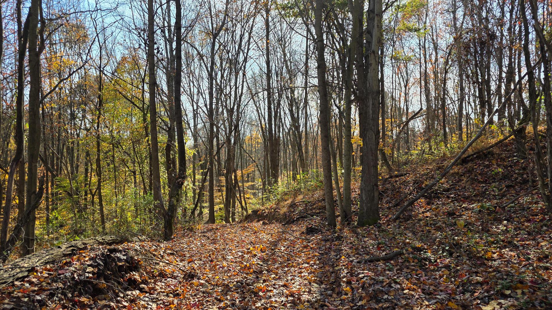 871 Poplar Ridge Road, Unit PONDS POPLAR RIDGE TRACT 13) Gallipolis, OH 45631 - Photo 14 of 36 CT-14