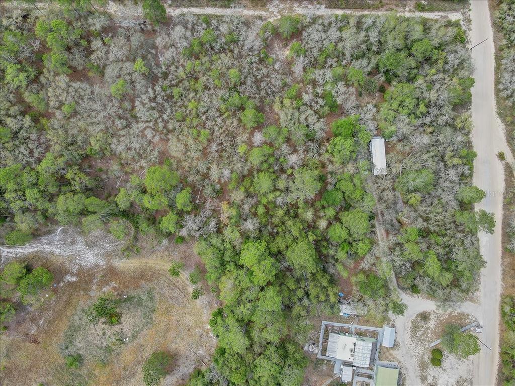 17528 Coyote Road Hudson, FL 34667 - Photo 59 of 60