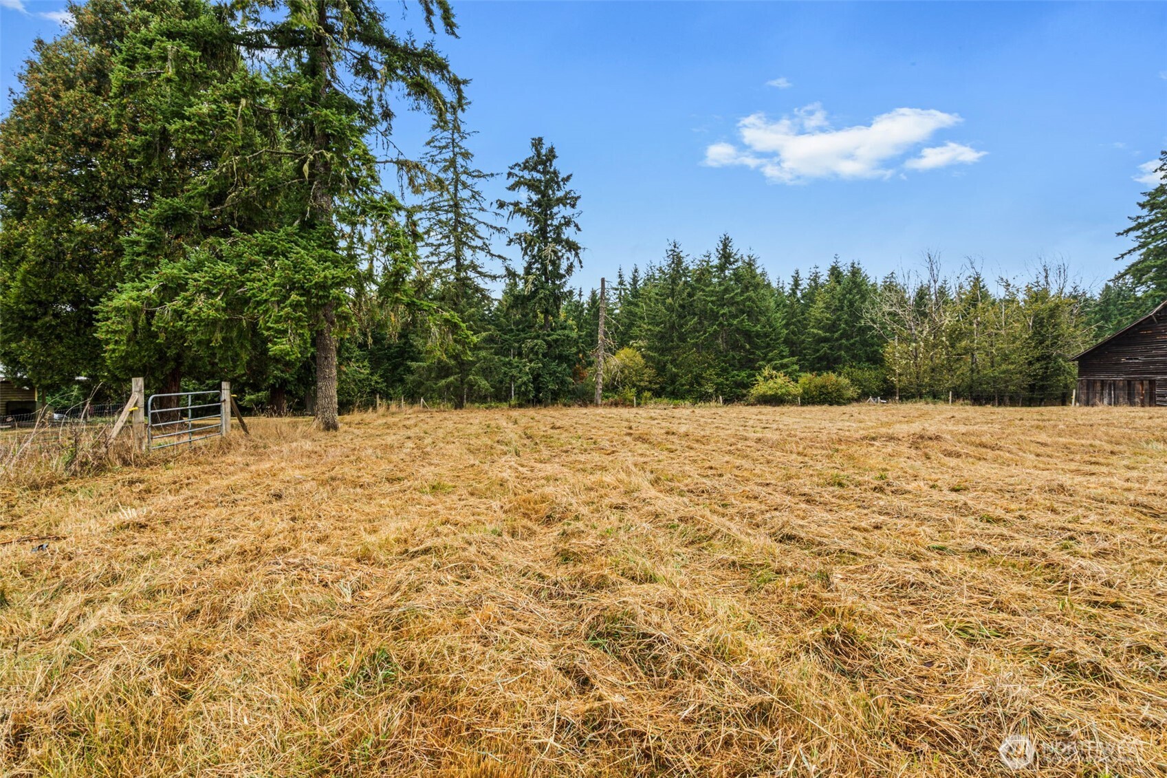 1755 Centralia Alpha Road Chehalis, WA 98532 - Photo 32 of 35 a backyard of a house with lots of green space