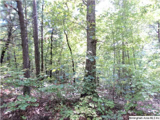 Kentuck Road, Unit 37AC Anniston, AL 36203 - Photo 3 of 7 Gallery Image 3