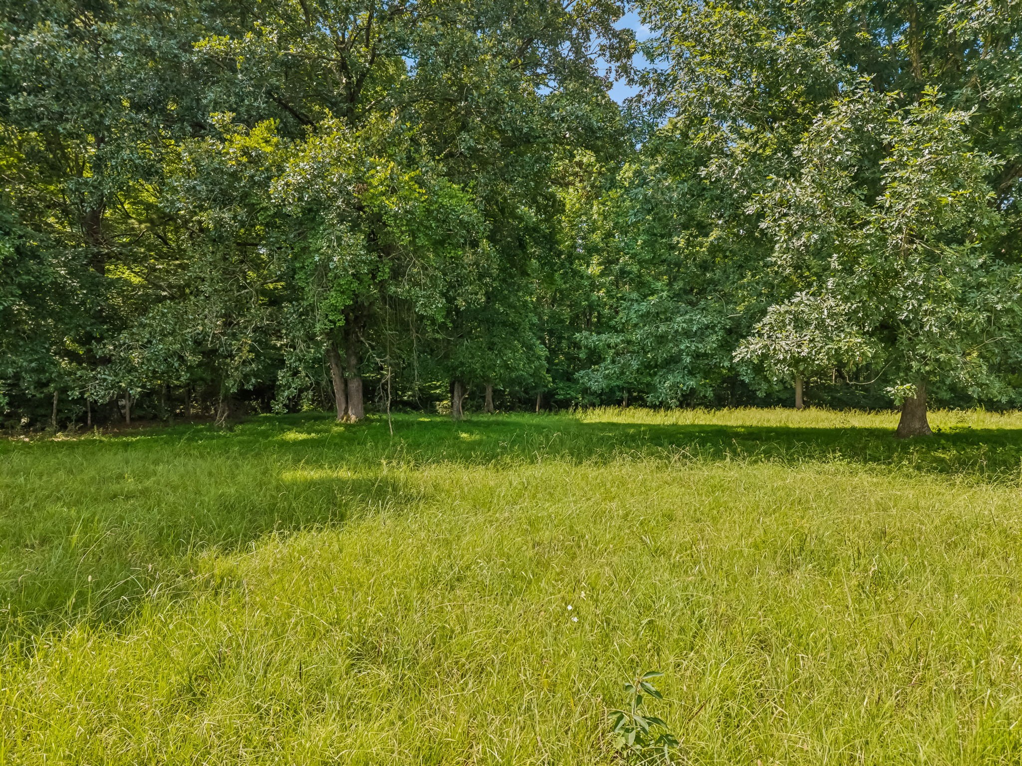 2362 Fall River Road Goodspring, TN 38460 - Photo 67 of 73 Gallery Image 67