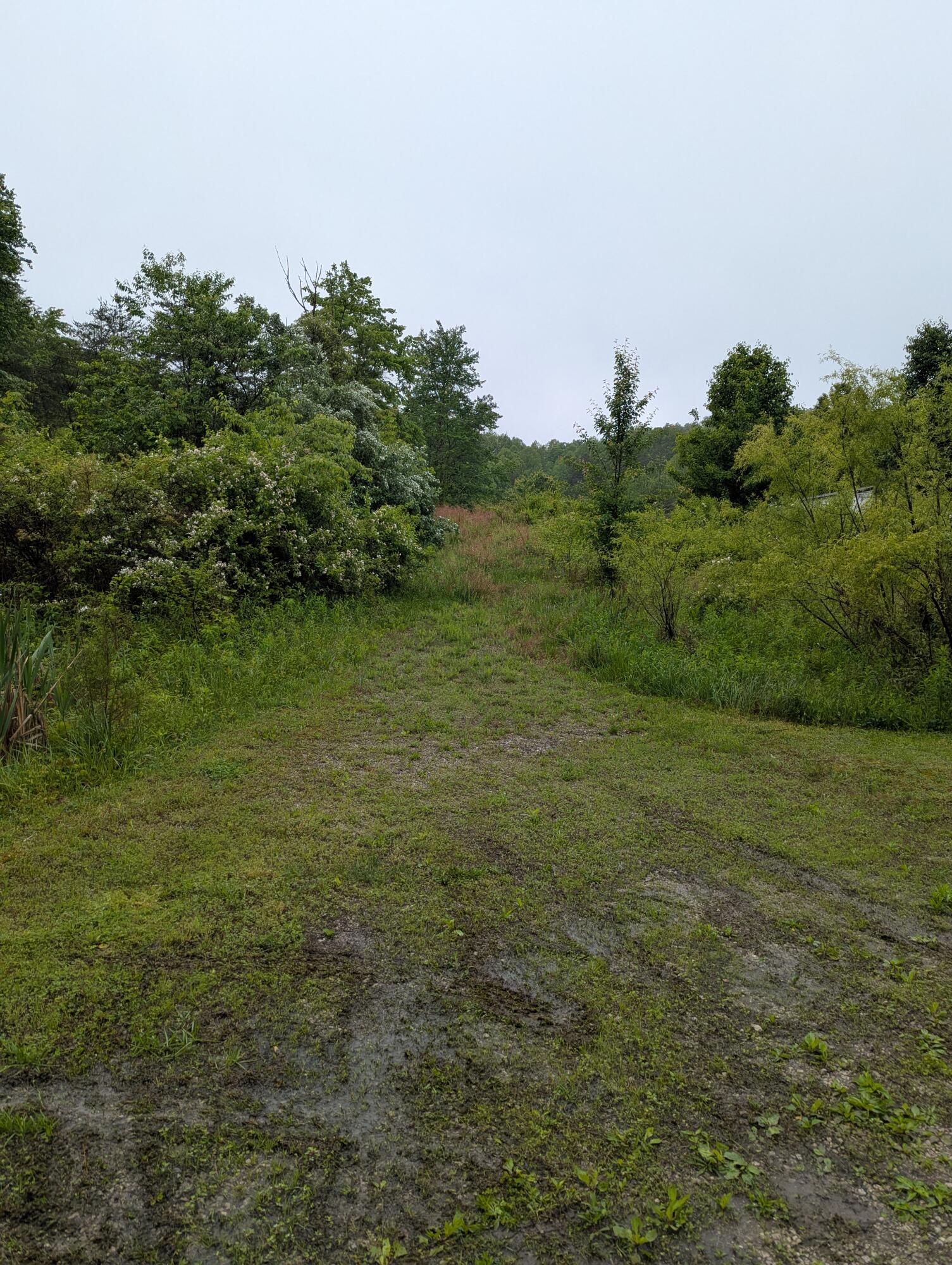 10970 McWhorter Road London, KY 40741 - Photo 30 of 34 1000001108