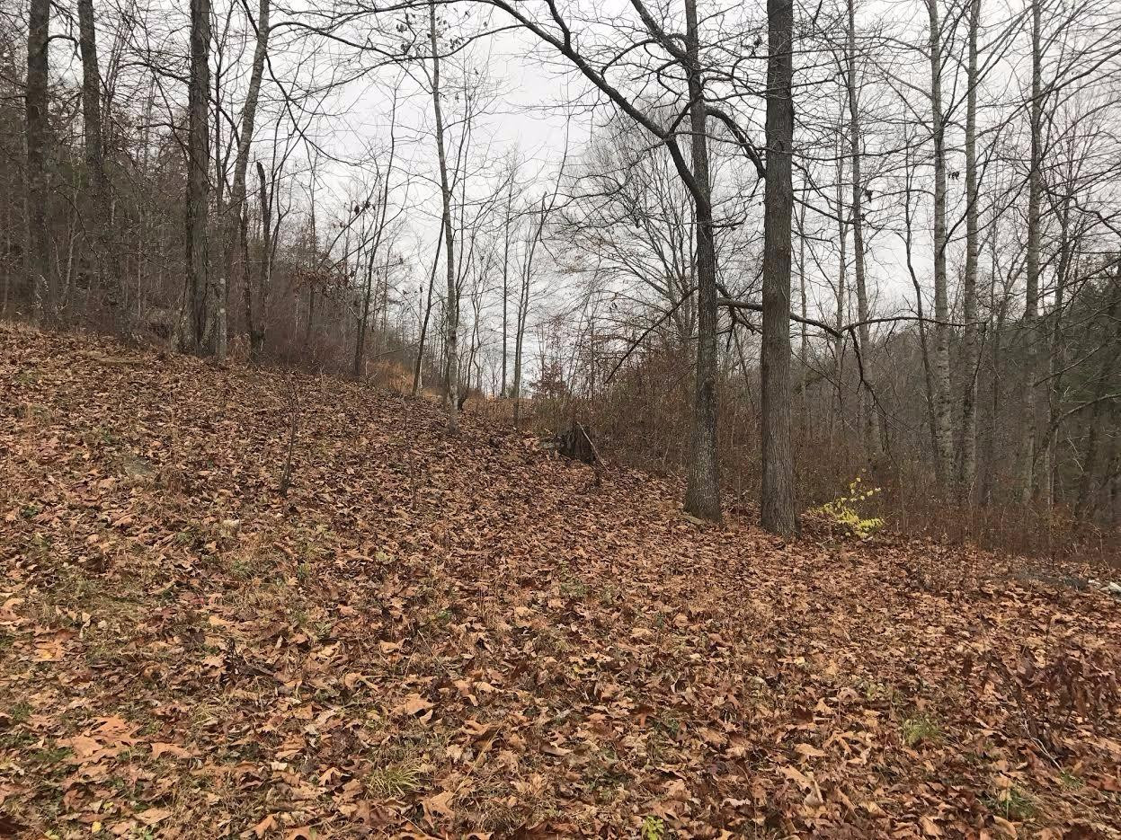 1 Red Road McKee, KY 40447 - Photo 5 of 10 Photo 5