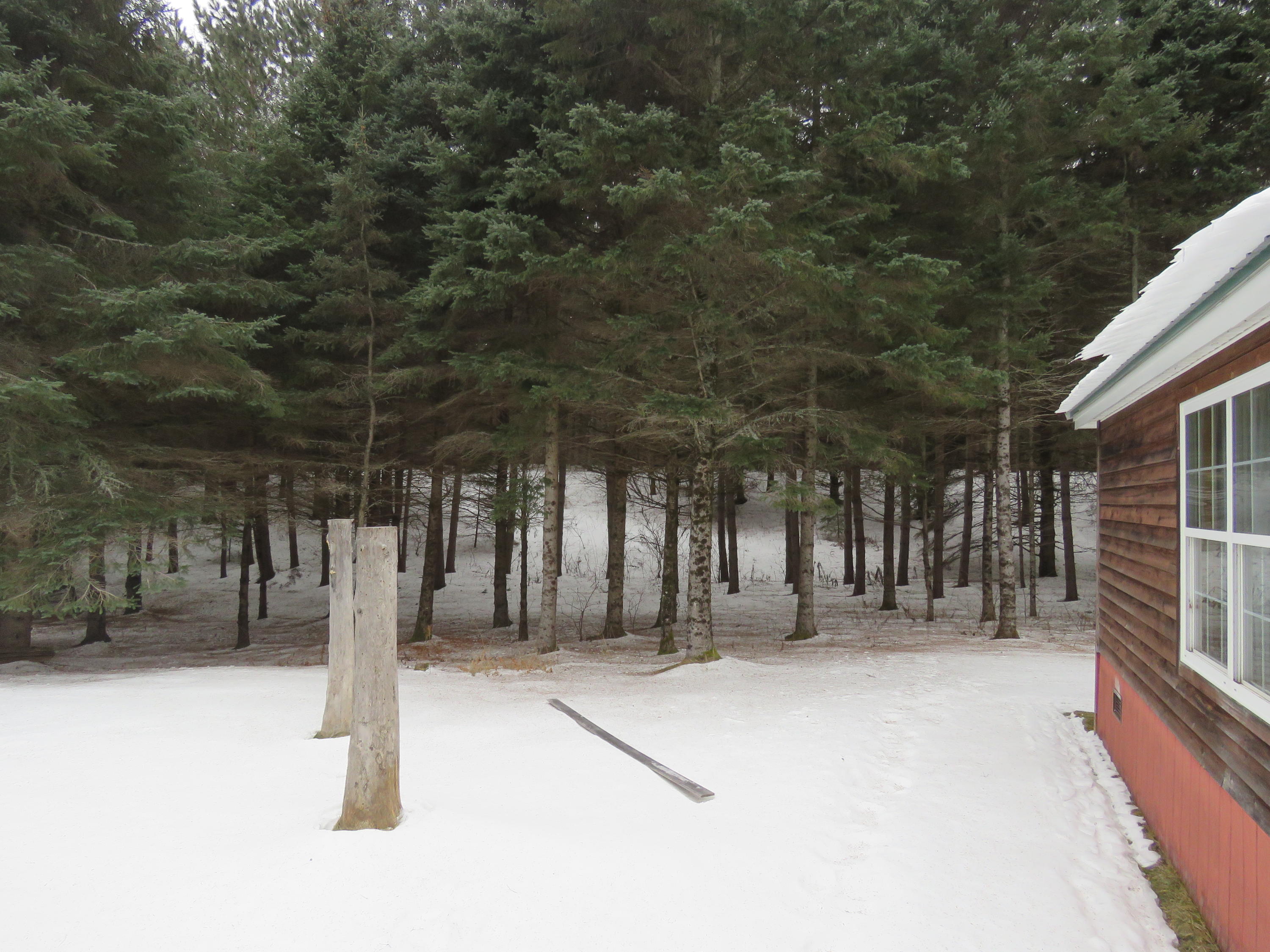 16 White Road Presque Isle, ME 04769 - Photo 6 of 13 IMG_8016