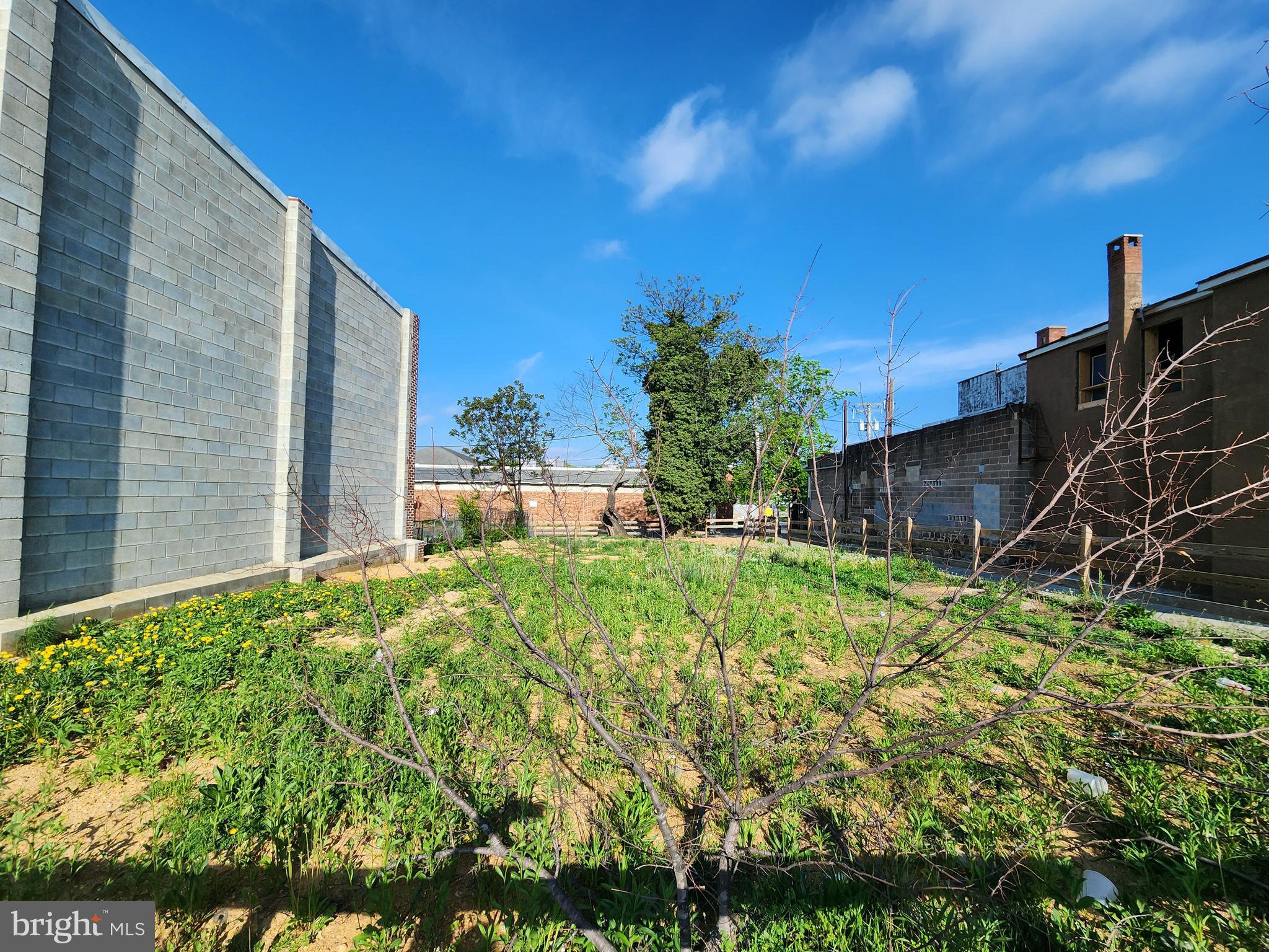 3642 South Hanover Street Baltimore, MD 21225 - Photo 8 of 8