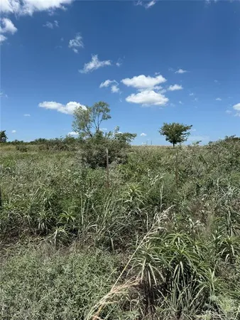 a view of a bunch of trees in a field