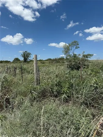 a view of a yard