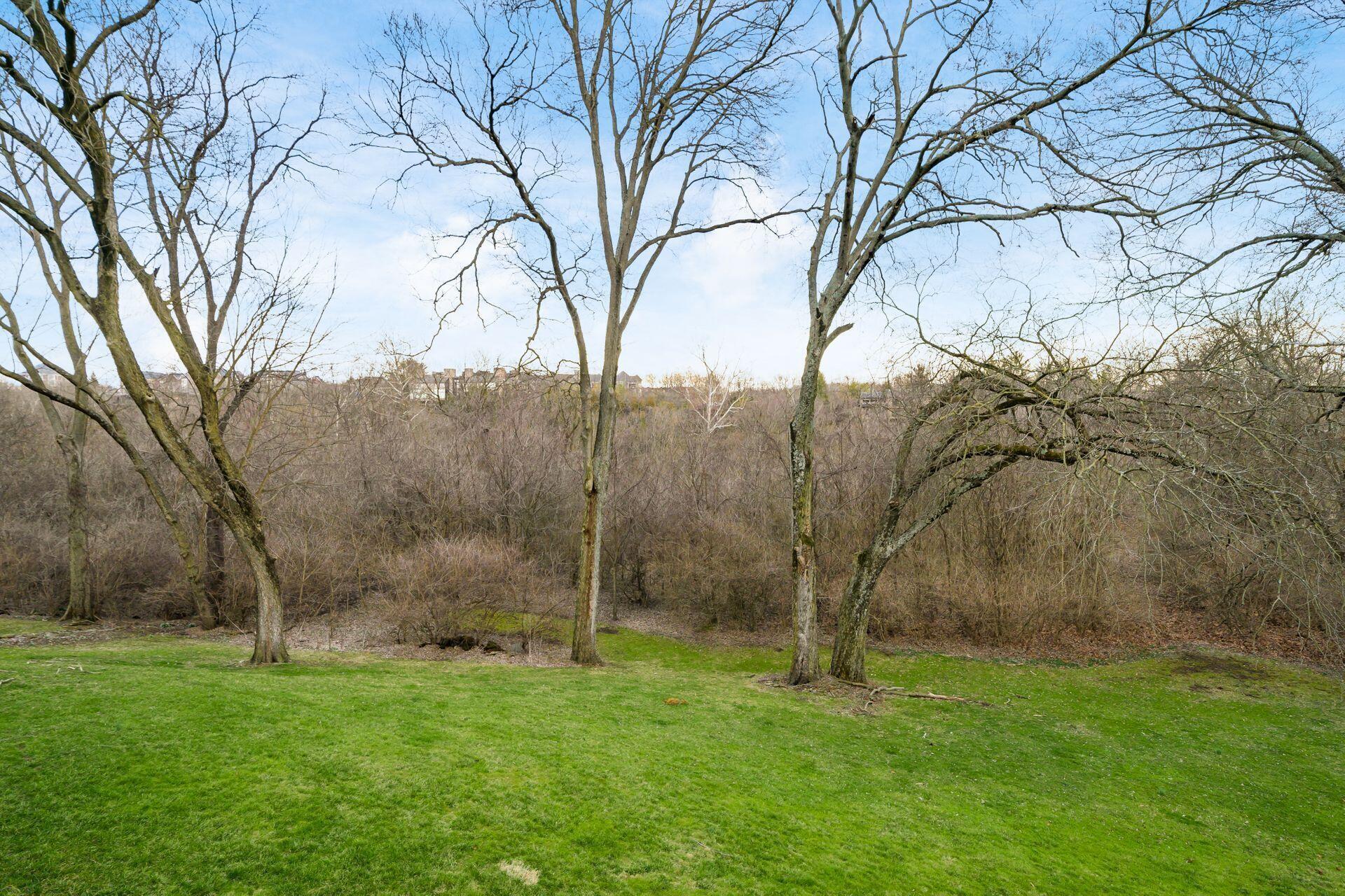 6028 Dublin Road Dublin, OH 43017 - Photo 73 of 91 Backyard
