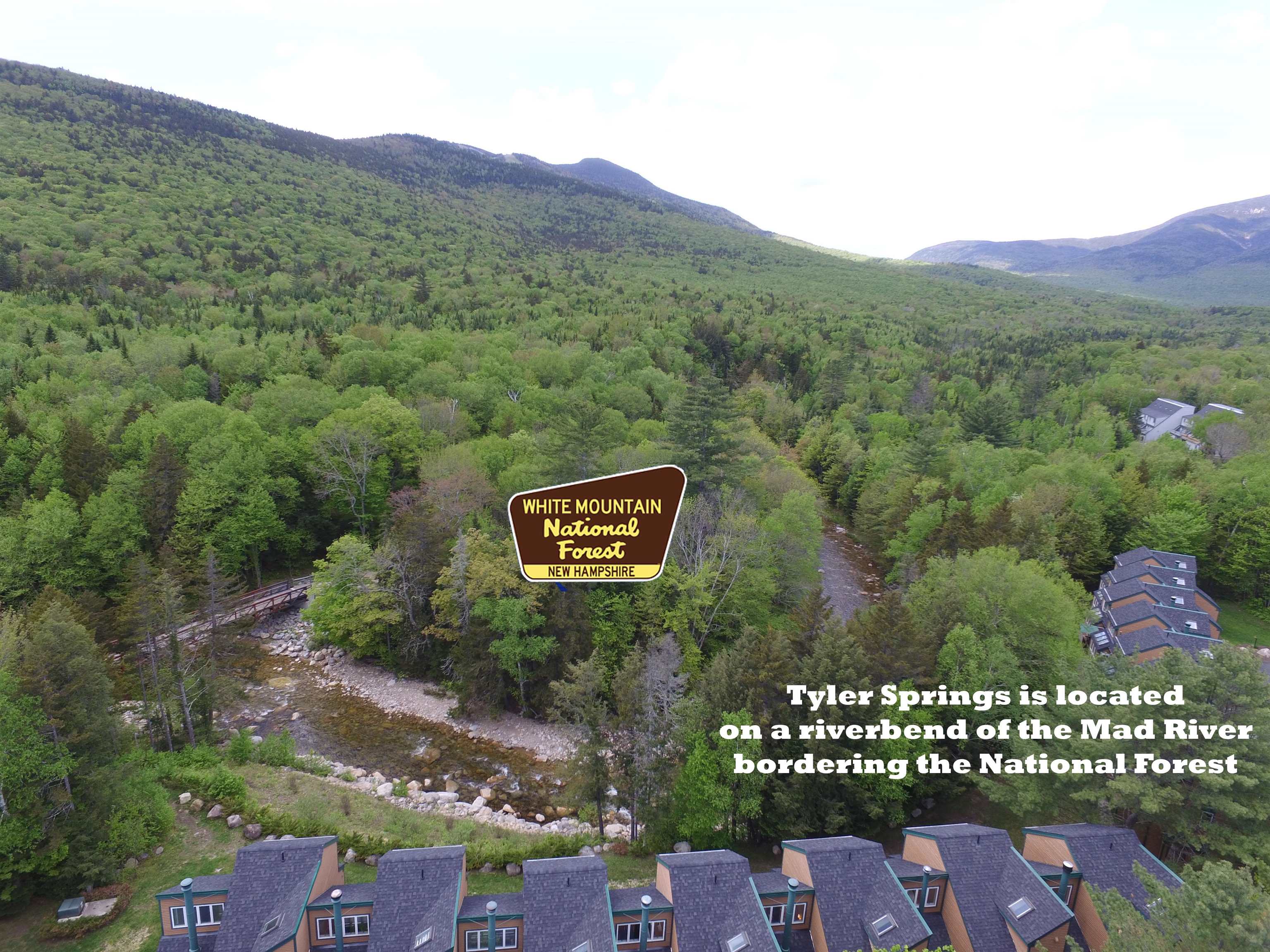 35 Tyler Spring Way, Unit 46 Waterville Valley, NH 03215 - Photo 2 of 28