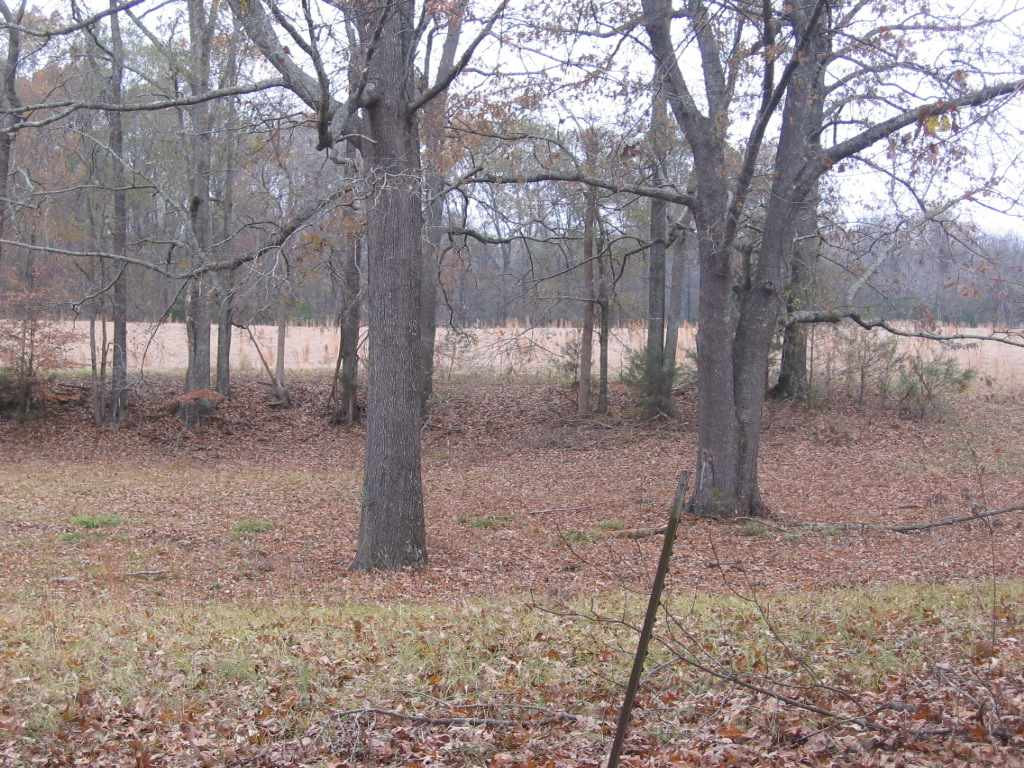0 Big Mound Road Bentonia, MS 39040 - Photo 12 of 13 Photo 12