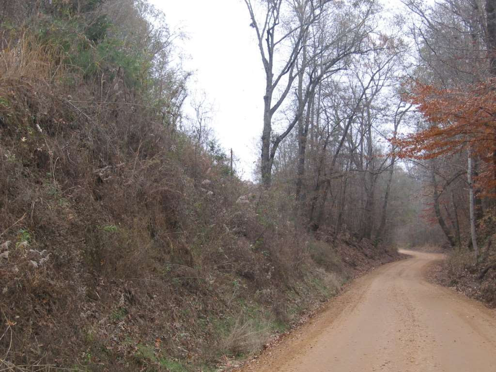 0 Big Mound Road Bentonia, MS 39040 - Photo 8 of 13 Photo 8