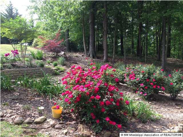 1645 Jaybird Road Hernando, MS 38632 - Photo 4 of 14 Additional Photo