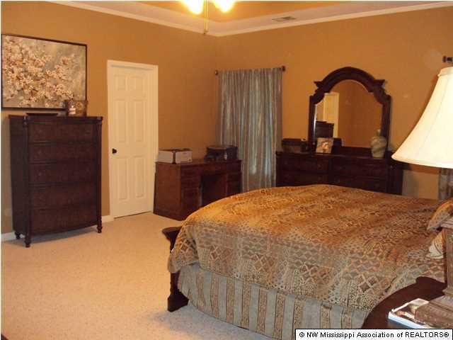 1645 Jaybird Road Hernando, MS 38632 - Photo 8 of 14 Additional Photo