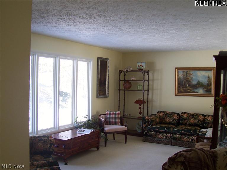 1414 Remsen Road Medina, OH 44256 - Photo 9 of 25 Very large living room.