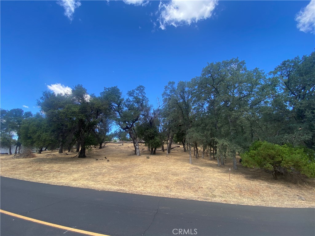 20393 Powder Horn Road Hidden Valley Lake, CA 95467 - Photo 3 of 8 a backyard of a house with table and chairs
