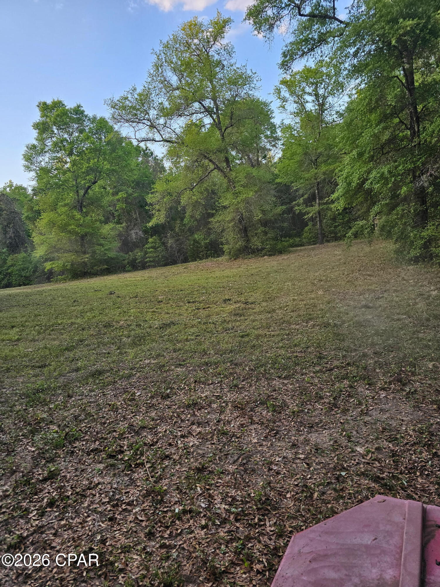 0 Broom Road Bonifay, FL 32425 - Photo 2 of 10