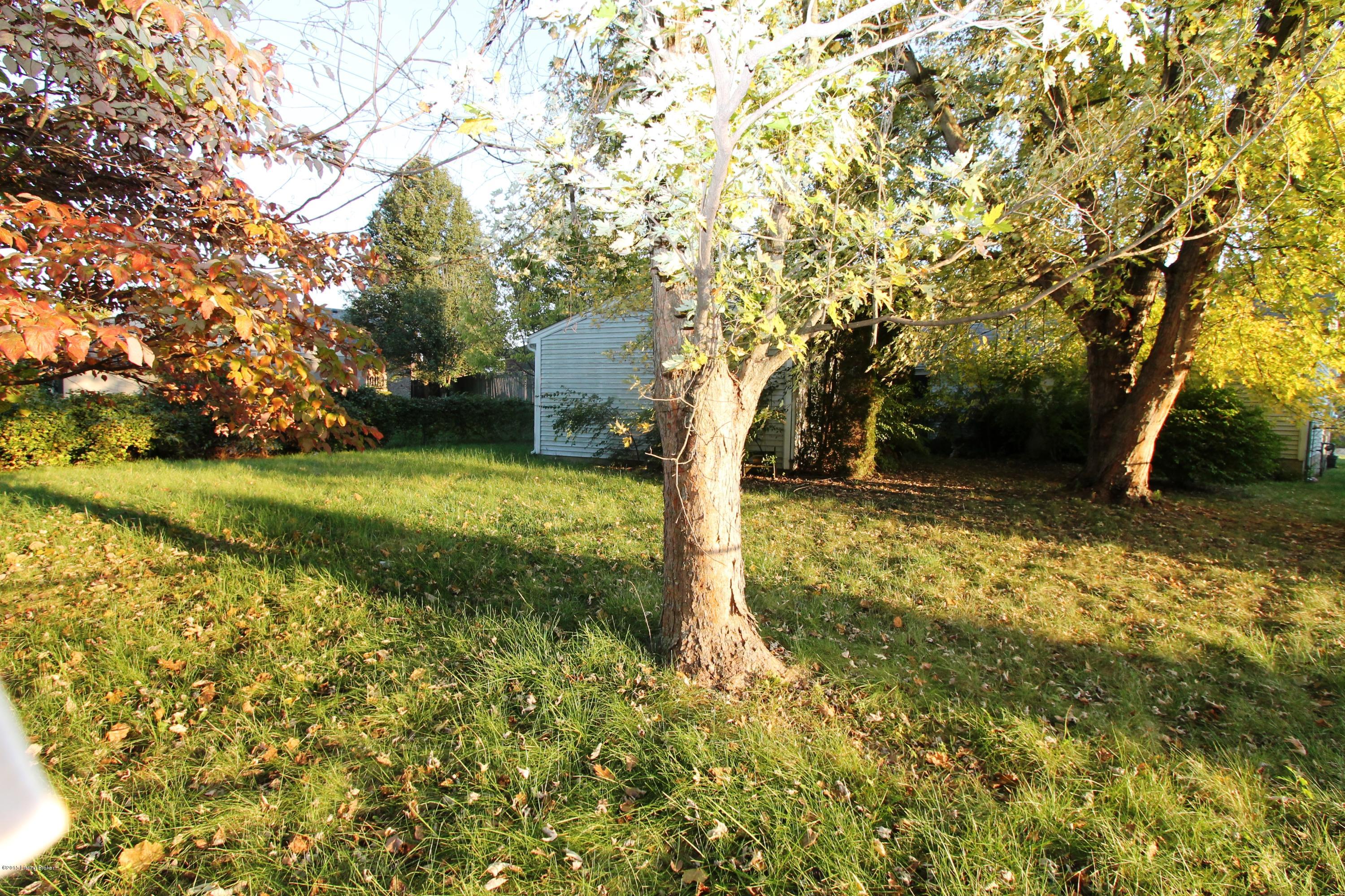 7115 Ridge Creek Road Louisville, KY 40291 - Photo 11 of 11 IMG_0829