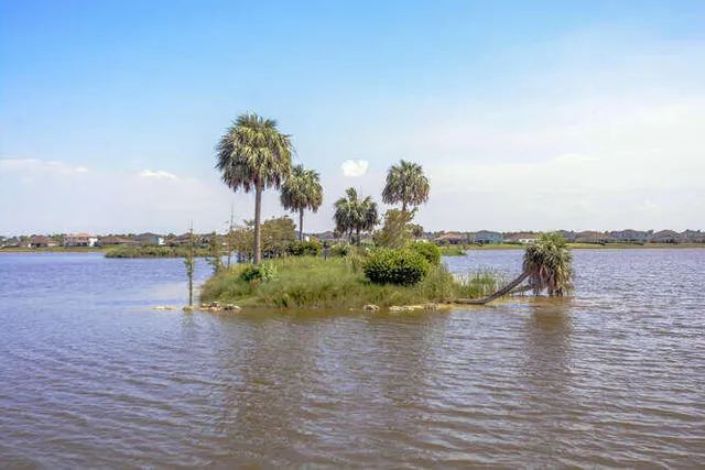 $819,000 | 1080 Sterling Pine Place, Loxahatchee, FL 33470