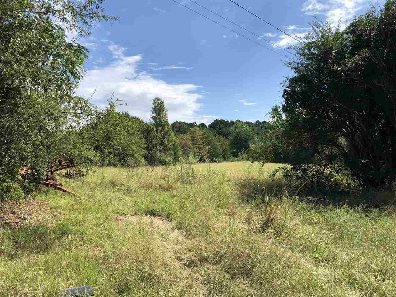 2 West Long Pilgrim Road Forest, MS 39074 - Photo 2 of 3 Photo 2