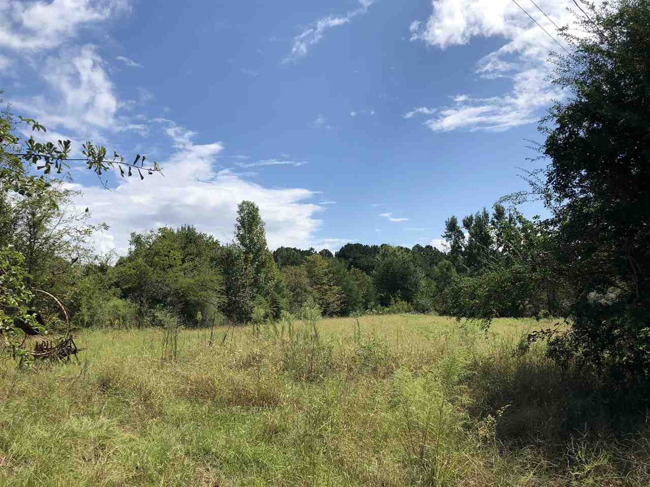 2 West Long Pilgrim Road Forest, MS 39074 - Photo 3 of 3 Photo 3