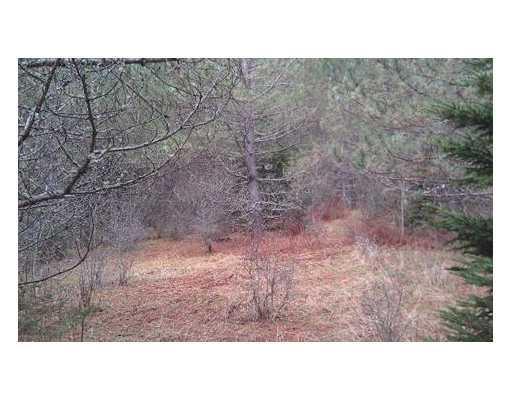 Lot 3 Pine Road Hersey, ME 04765 - Photo 2 of 6 Land/Lot.
