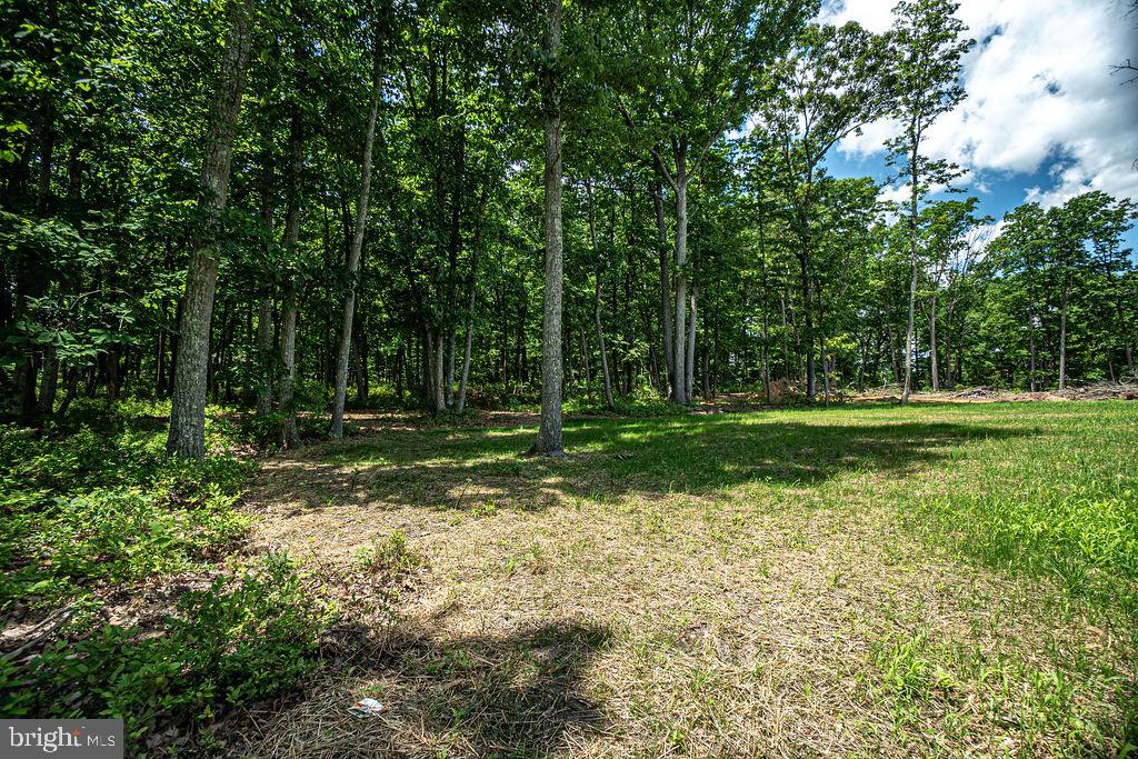 655 Erial Road Sicklerville, NJ 08081 - Photo 60 of 61