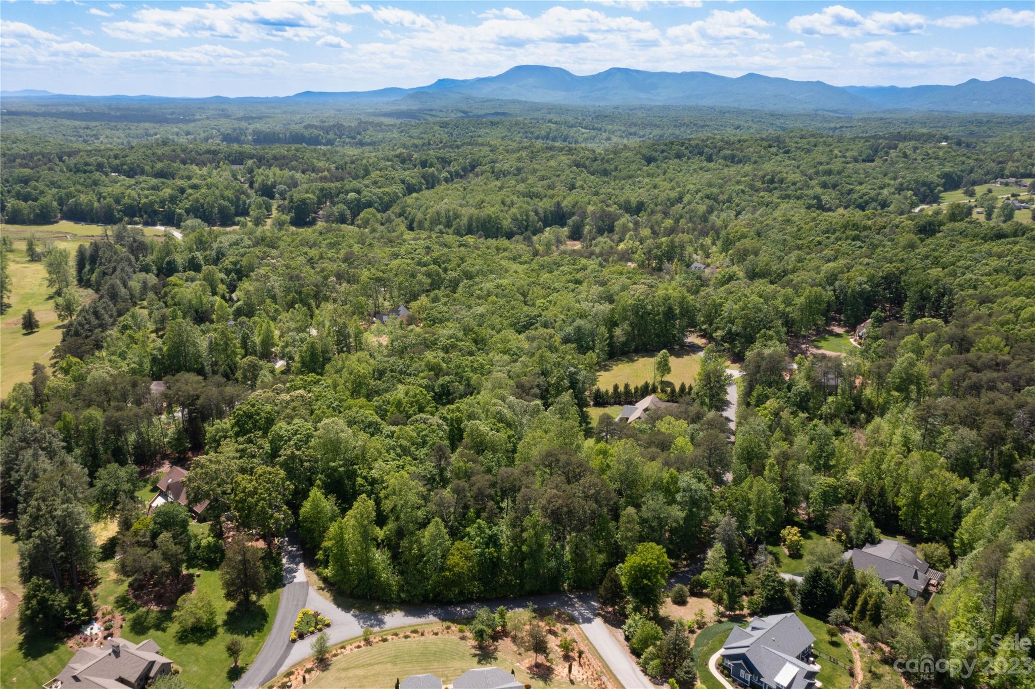 0 Club Road, Unit 13 Tryon, NC 28782 - Photo 3 of 6 an aerial view of a house with a yard