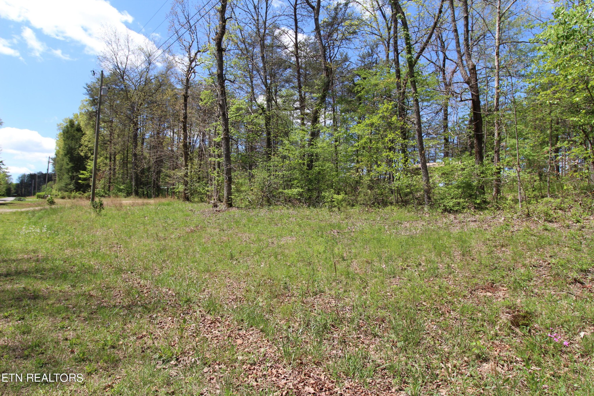 165 Cherokee Road Crossville, TN 38572 - Photo 11 of 12