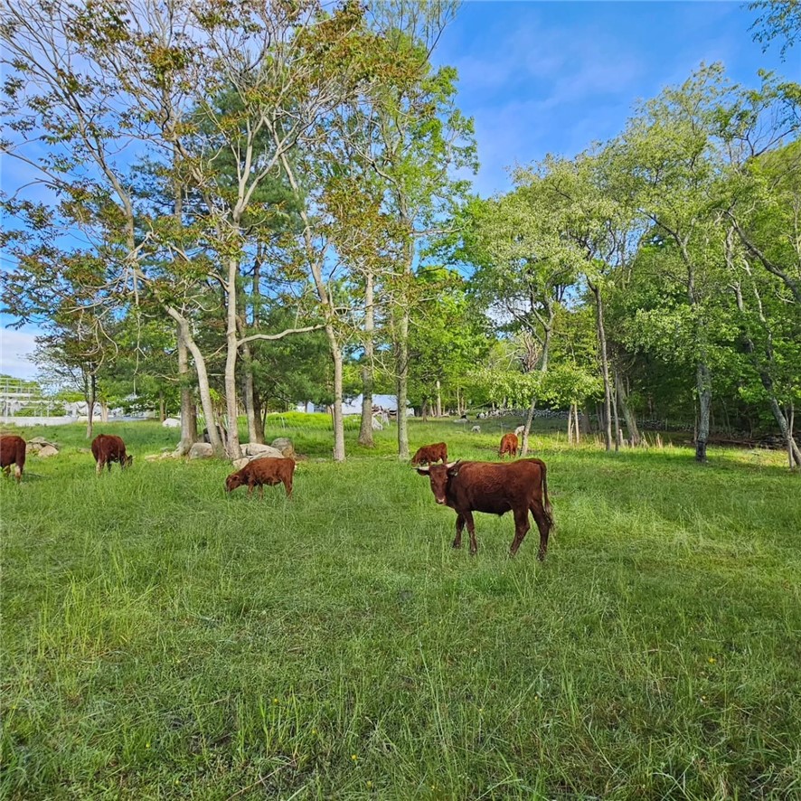 241 Cornell Road Tiverton, RI 02878 - Photo 32 of 47