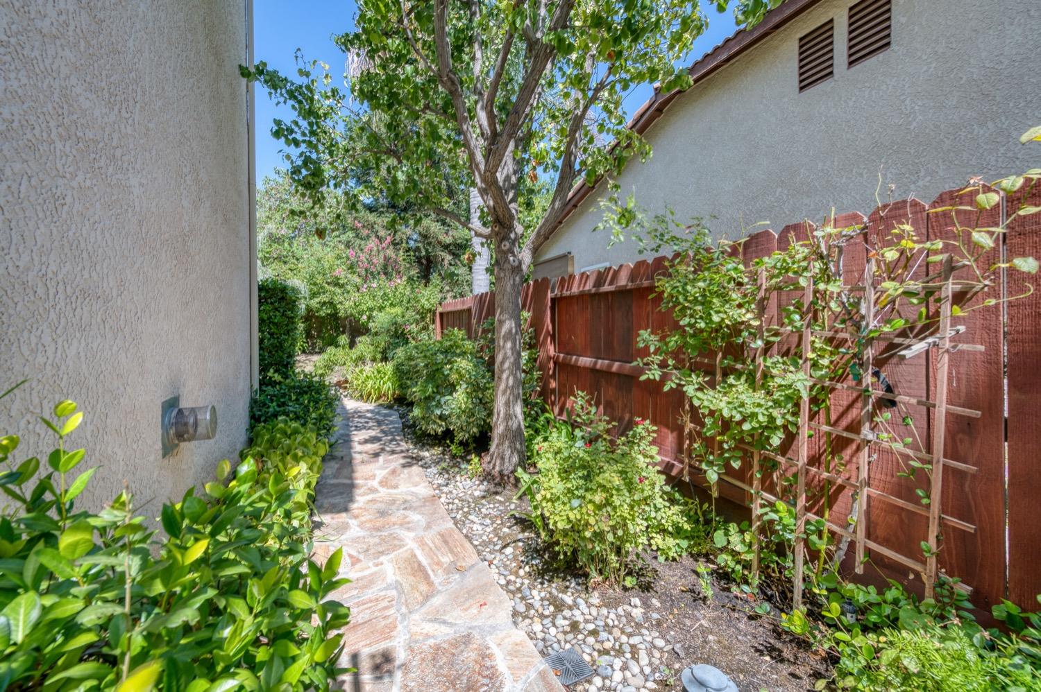 2661 Buckingham Avenue Clovis, CA 93611 - Photo 41 of 50 a backyard of a house with lots of green space