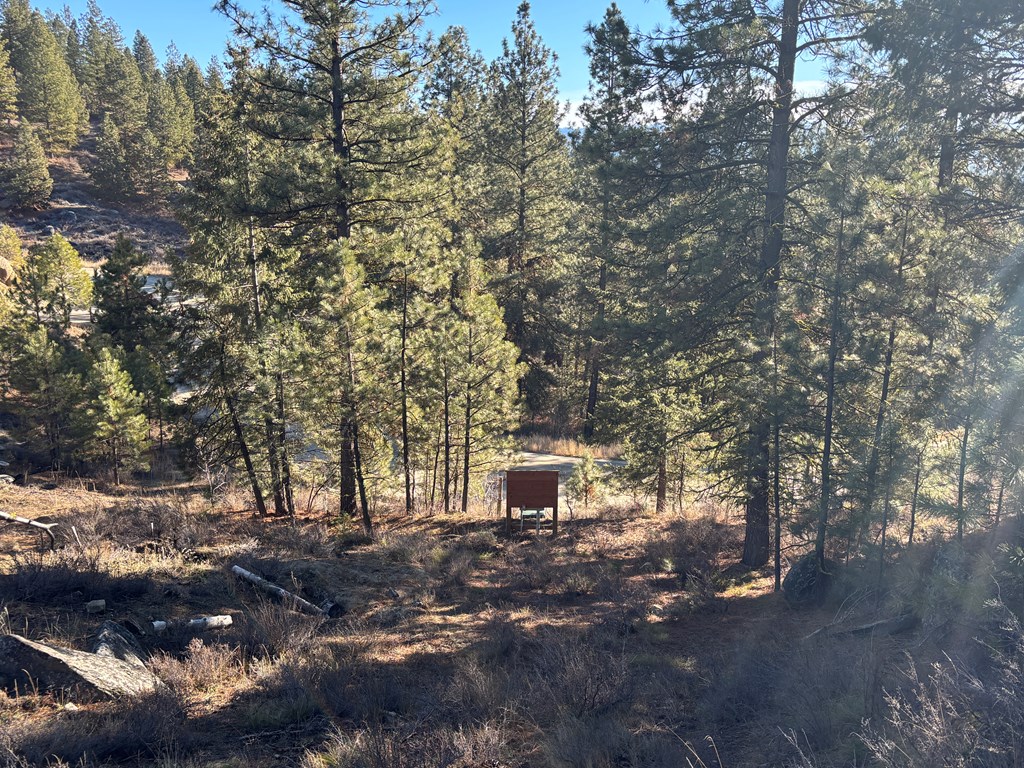 28 Sarah Way, Unit 9 Cascade, ID 83611 - Photo 10 of 20 Wooded