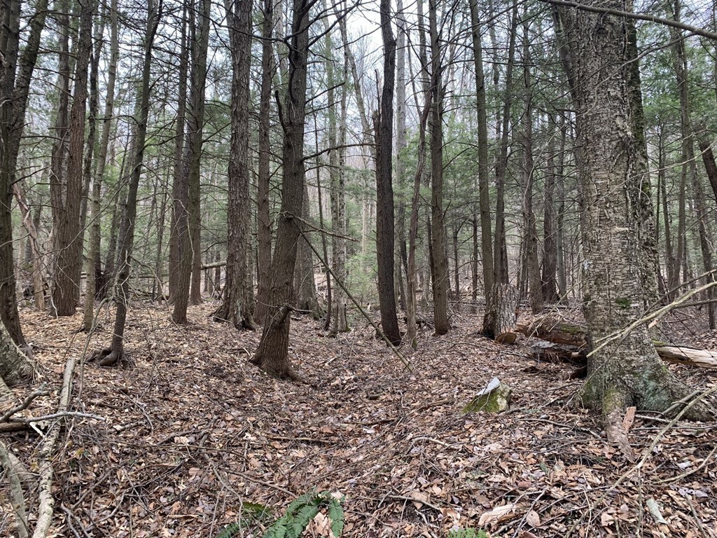 0 Watson Road Becket, MA 01223 - Photo 9 of 22 Gallery Image 9