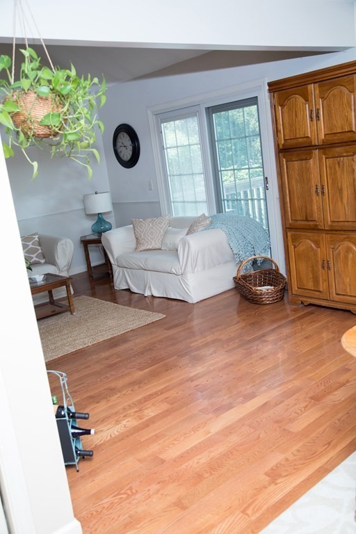 22 Deer Run Road West Springfield, MA 01089 - Photo 34 of 38 a living room with a couch and a potted plant