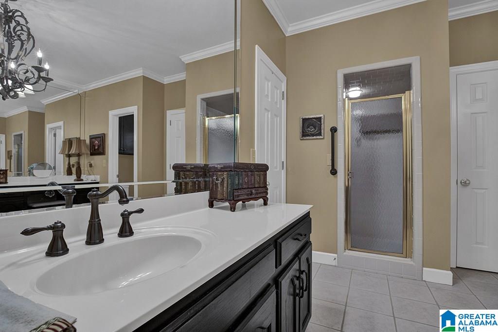 24 Timber Trail Chelsea, AL 35043 - Photo 19 of 48