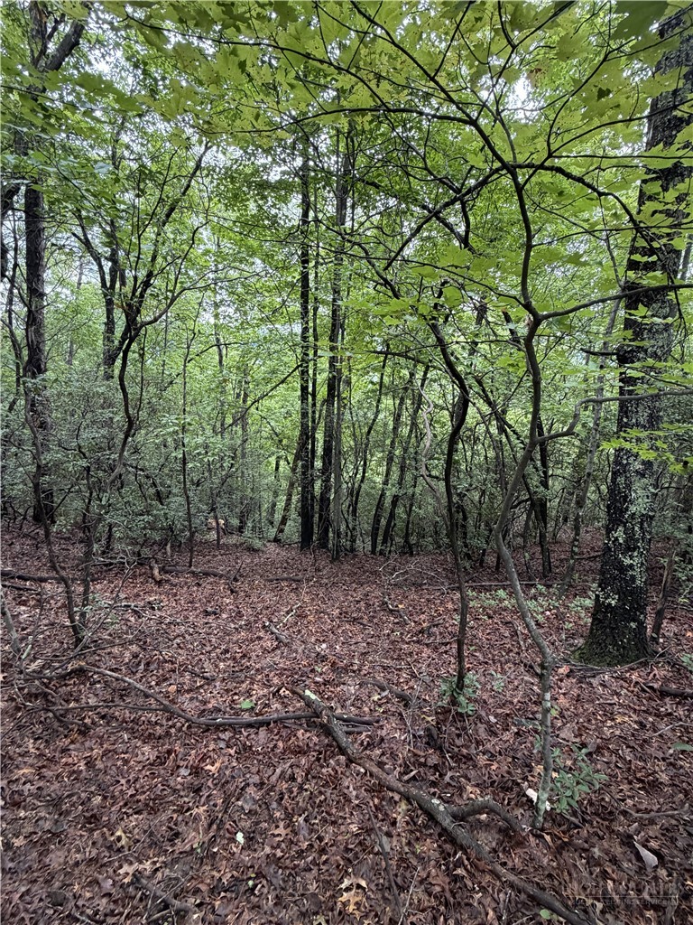 Lot 11 Bell Branch Road Hays, NC 28635 - Photo 6 of 12 Gallery Image 6